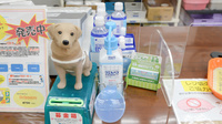 コスモス調剤薬局 大根店の感染予防対策
