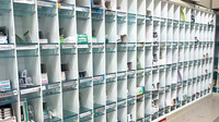 コットン調剤薬局の薬棚
