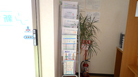 新世薬局 平津店の冊子