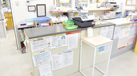 南河内調剤薬局の受付/カウンター