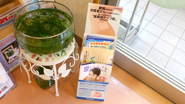 大信薬局たもん店の冊子
