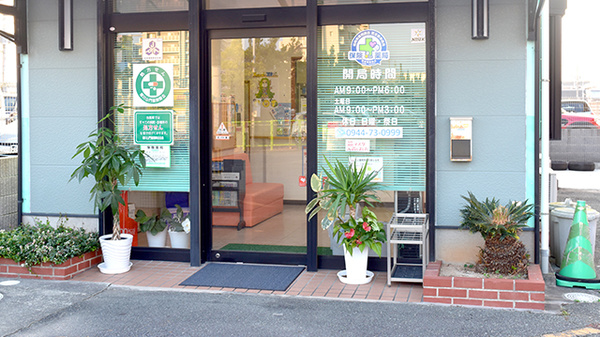 入口