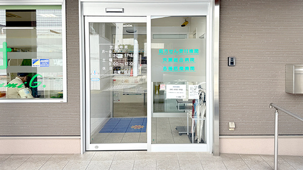 入口