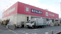 アカカベ薬局　四條畷店の外観