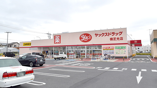 ヤックスドラッグ横芝光薬局の外観