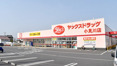 ヤックスドラッグ小見川薬局