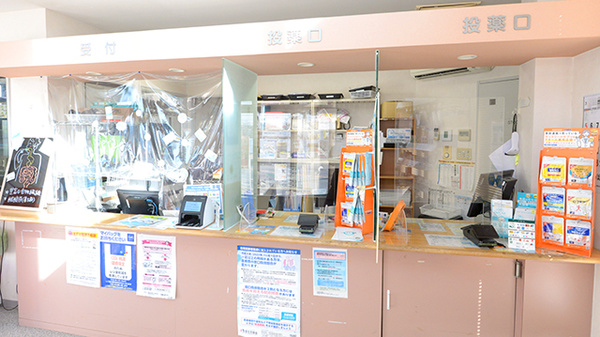 かぼちゃ薬局の受付/カウンター