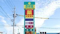 杏林堂薬局　鳥之瀬店の看板