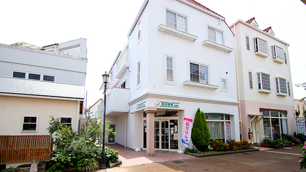 新世薬局 新島店の外観