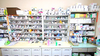 新世薬局　田井店の薬棚