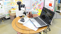 豊岡薬局の血液検査