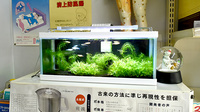 薬膳薬局逆瀬川店のその他