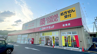 ゴダイ薬局 岩滝店の外観